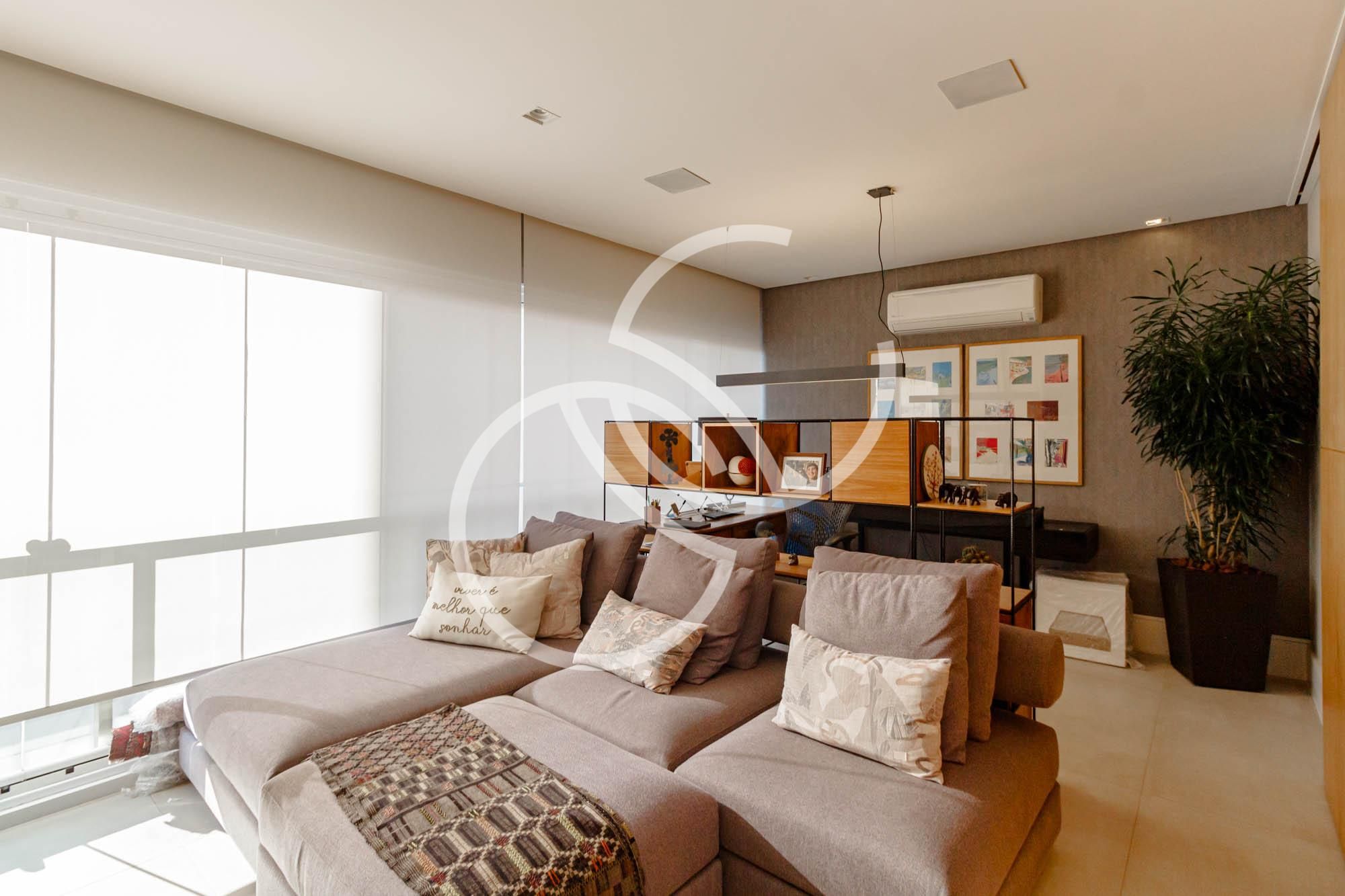 Acervo Pinheiros - imagem 4