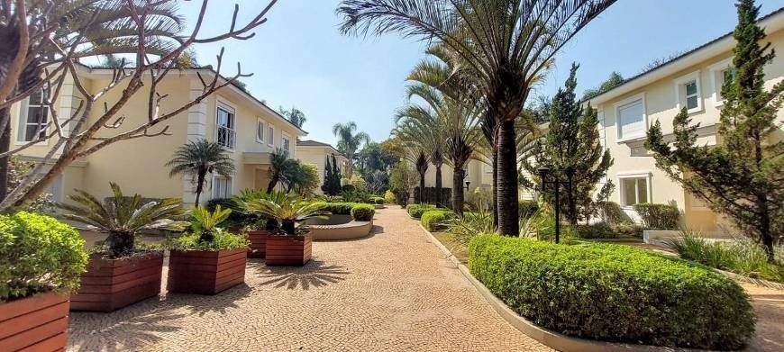 L´exclusive - imagem 2