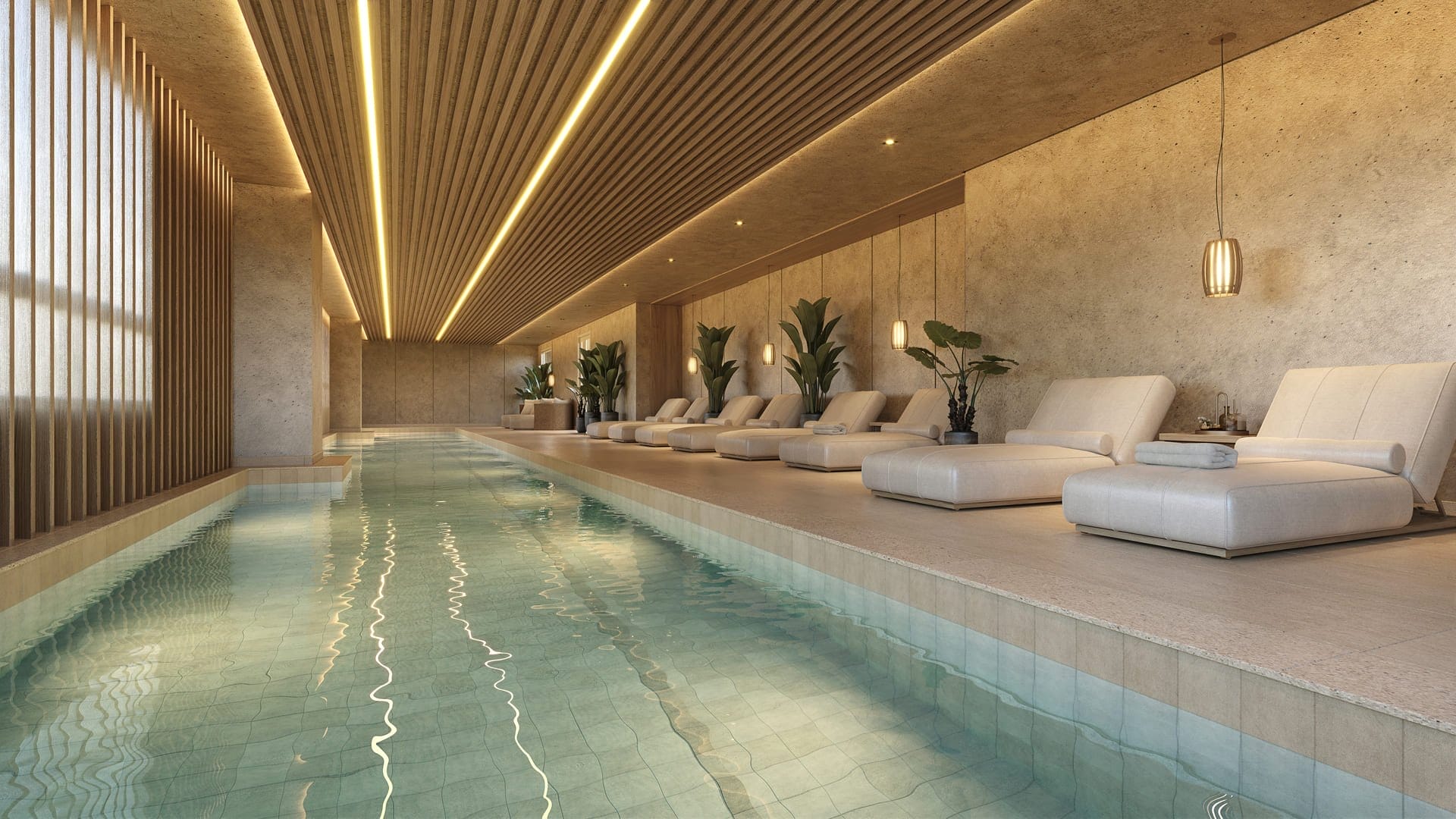 The Selection - imagem 2