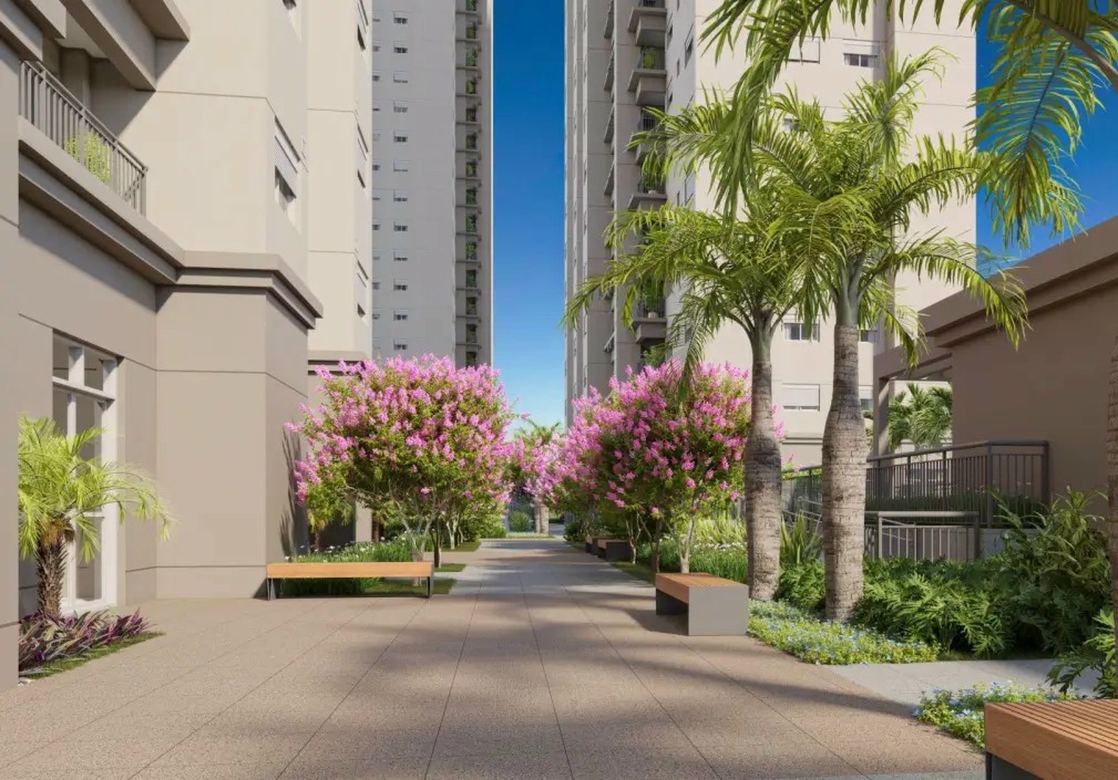 Reserva São Caetano  - imagem 4