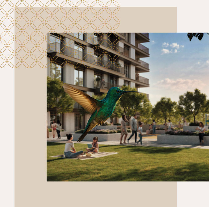 Reserva São Caetano  - imagem 5