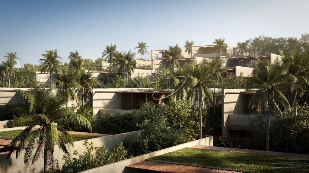 A Mata Trancoso - imagem 4