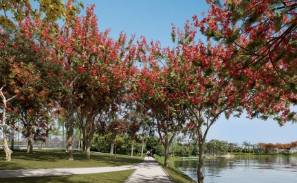 Quinta do Lago  - imagem 4