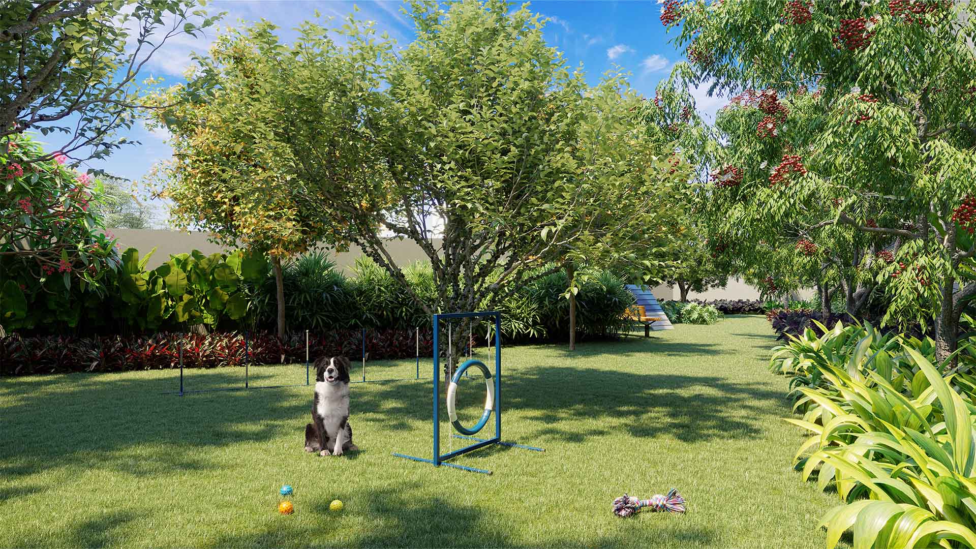 Ari Butanta - imagem 5