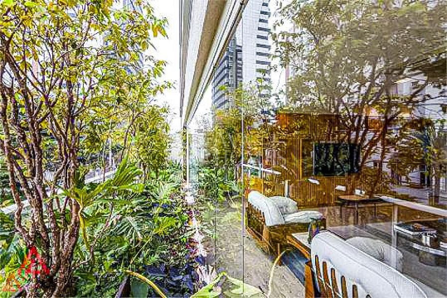 Benedito Lapin 81 - imagem 3