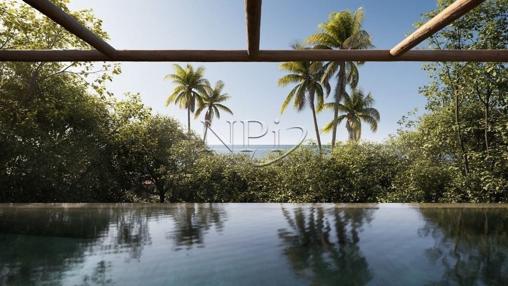 A Mata Trancoso - imagem 2