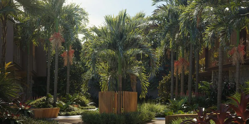 Amanay SPA Boutique  - imagem 2